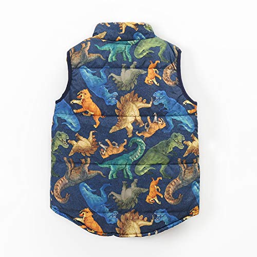 Momoland boy sleeveless dinosaur print winter warm vest back