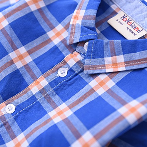 Boy Long Sleeve Blue Plaid Woven Shirt