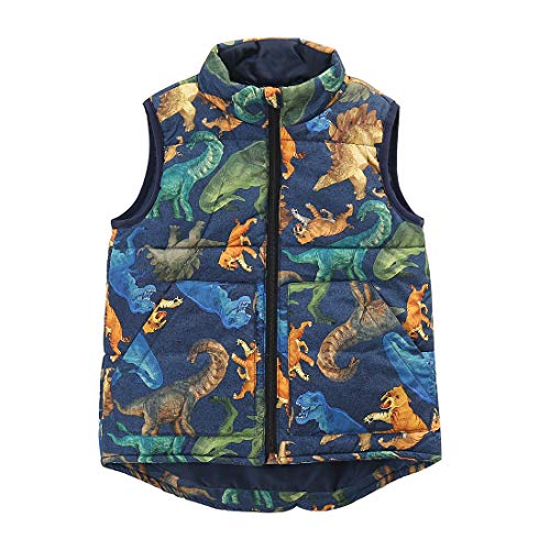 Momoland boy sleeveless dinosaur print winter warm vest front
