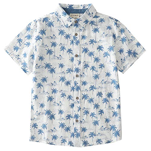Momoland boy short sleeve blue palm tree print Hawaii shirt front