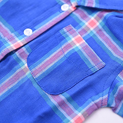 Baby Long Sleeve Blue/Red Plaid Shirts