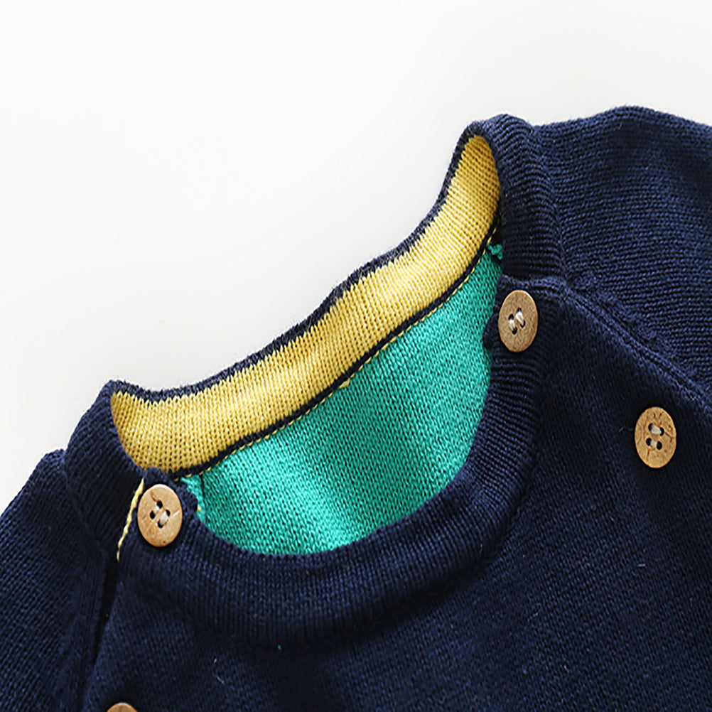 Toddler Boy long Sleeve Navy Green Sweater